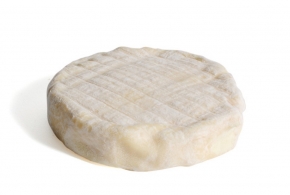 Cheeses of the world - Brebis de Saint-Hilaire-Foissac